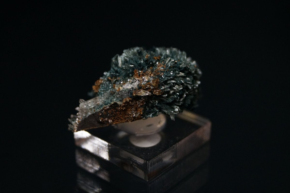 Gormanite
