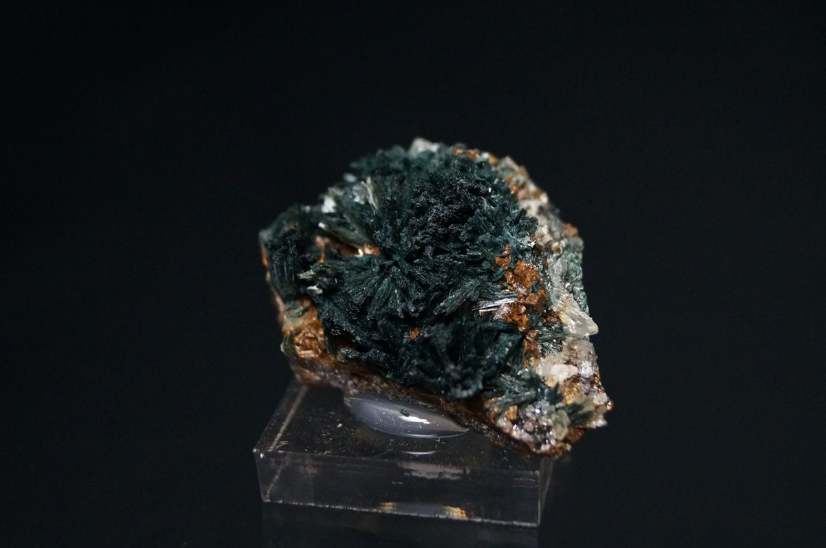 Gormanite