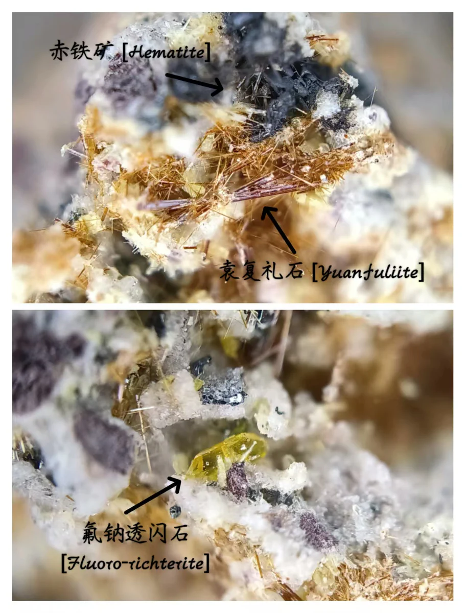 Yuanfuliite, Fluoro-richterite, Hematite