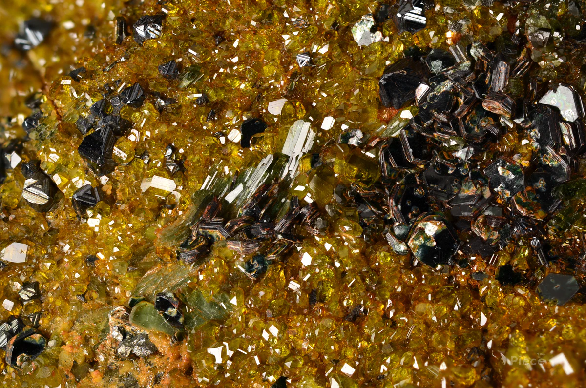 Magnetite, Epidote, Diopside, Clinochlore