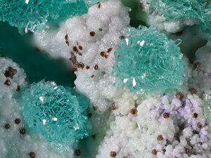 Copper-bearing Adamite