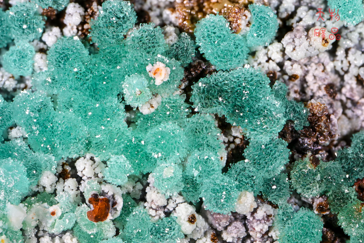 Copper-bearing Adamite