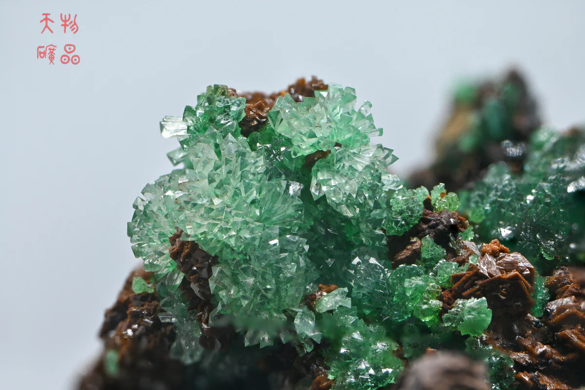 Copper-bearing Adamite