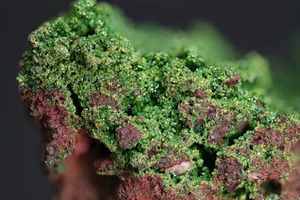 Bayldonite, Tsumcorite