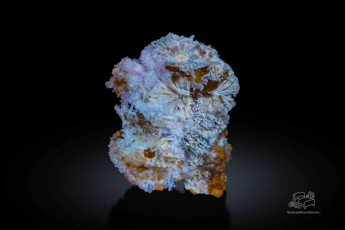 Creedite