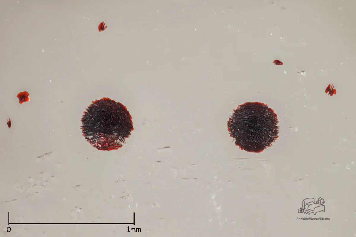 Quartz, Hematite, Epidote