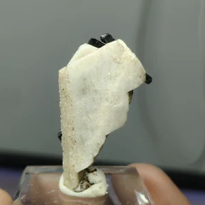 Orthoclase, Aegirine