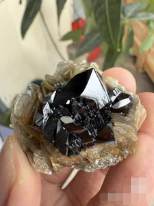 Cassiterite, Muscovite