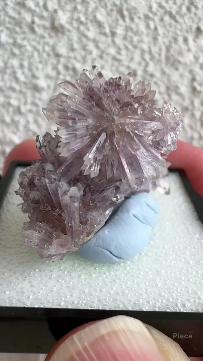 Creedite