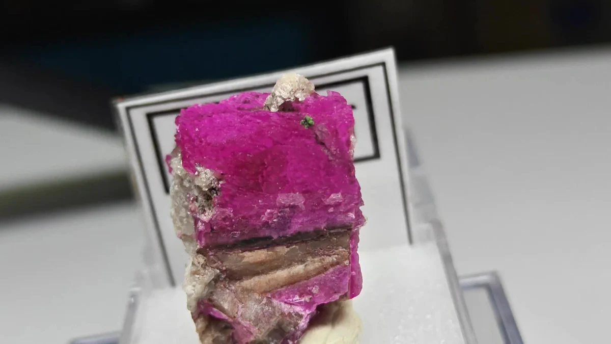 Cobalt-bearing Dolomite